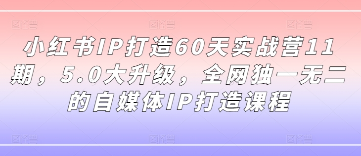 小红书IP打造60天实战营11期，5.0大升级，全网独一无二的自媒体IP打造课程-Zv头条