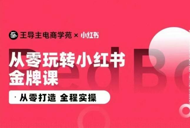 王导主·小红书电商运营实操课，​从零打造  全程实操-Zv头条
