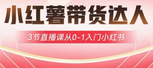 小红薯达人带货启航计划，3节直播课从0-1入门小红书-Zv头条