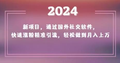 2024新项目，通过国外社交软件，快速涨粉精准引流，轻松做到月入上万【揭秘】-Zv头条