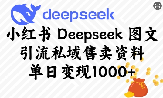 小红书Deepseek图文引流私域售卖资料，单日变现多张-Zv头条